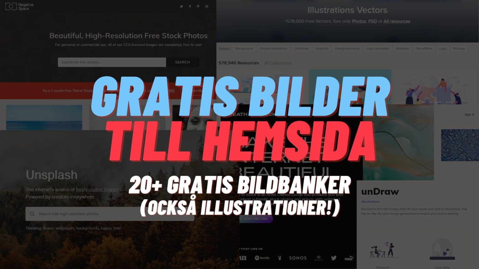 Gratis bilder till hemsida - 21 gratis bildbanker för 2021 - Vemo Media